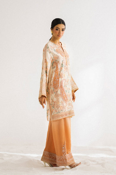 Boutique '25 - EMBROIDERED SUIT - E0798/104/227