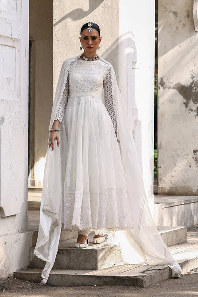 Ankh Macholi Festive '25 - Rumi