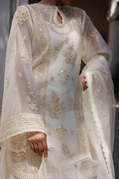 Ankh Macholi Festive '25 - Mahrukh