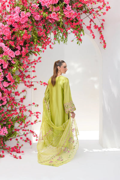 Stelle Eid Edit II'25- Avocado