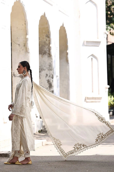 Ankh Macholi Festive '25 - Gulraiz