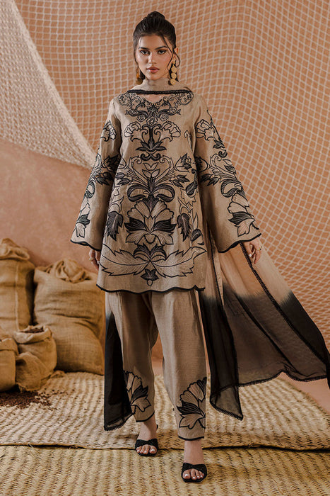 Latte Lace '25 - Amrisa