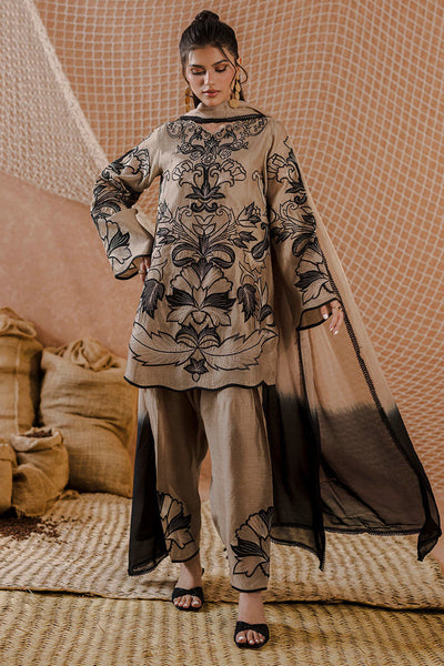 Latte Lace '25 - Amrisa