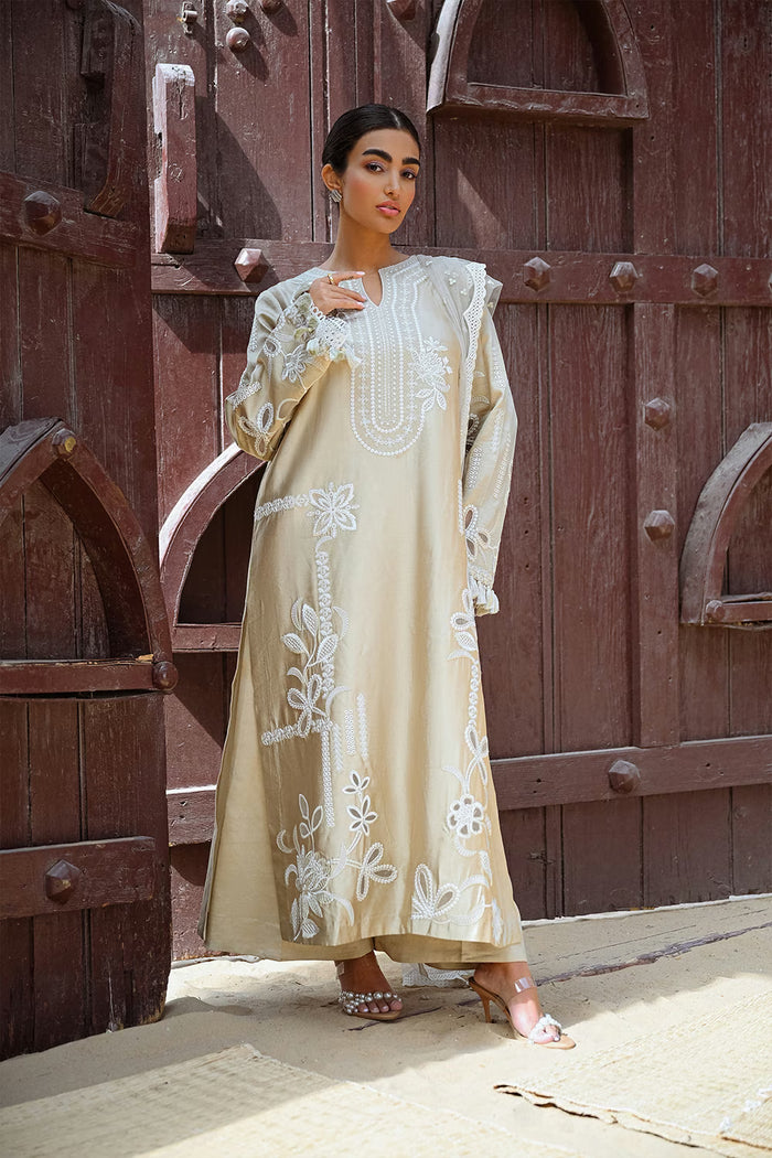 SAIRA RIZWAN SAIJA SILK PRET '26