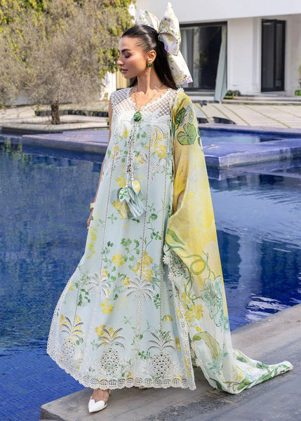 Flow Lawn '26 - Tropic Tease - D4B