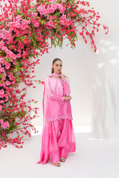 Stelle Eid Edit II'25- Candy Floss