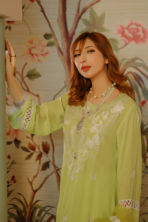 TINA - Exquisite Lime Green Chiffon & Organza Ensemble