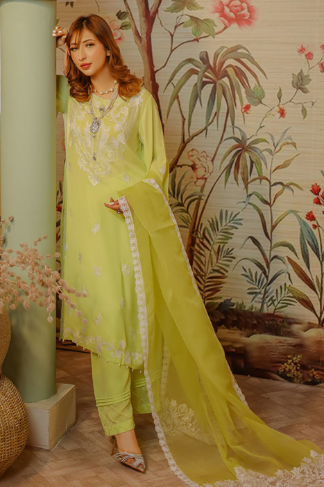 TINA - Exquisite Lime Green Chiffon & Organza Ensemble