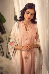 SOHA  Silk Net Subtle Peach Elegance Shirt