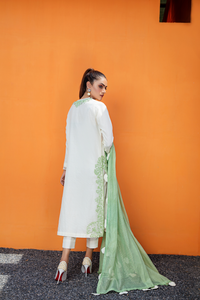 Graceful DANCING WATER Organza Ensemble | Bilal Garment