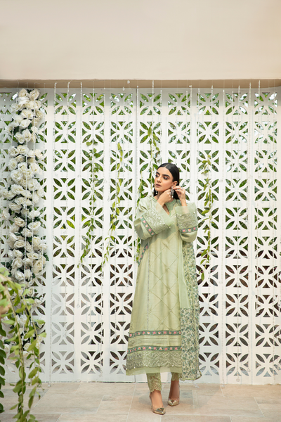 LILLY - bilalgarments