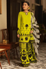 NIGHT OUT A Acid Green Embroidered Set | ALI XEESHAN