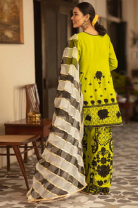 NIGHT OUT A Acid Green Embroidered Set | ALI XEESHAN