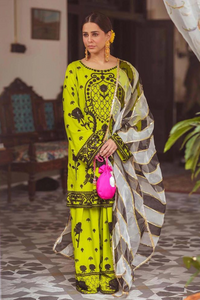 NIGHT OUT B Acid Green Embroidered Set | ALI XEESHAN