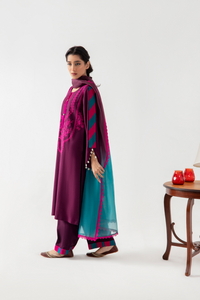Elegant Azaar Karandi Silk Outfit | CARMIN