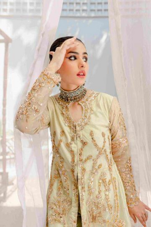 Enchanting Lata Stitched Outfit