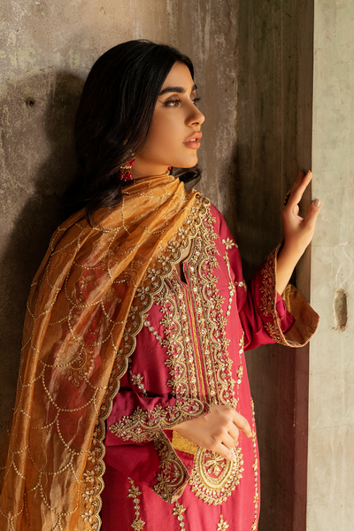 ROSETTA Light Beige Embroidered Ensemble | Faiza Rehman 