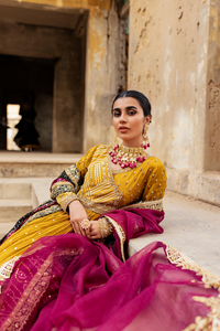 MUSTARD DE FETE Peshwas | Faiza Rehman | Bilal Garment