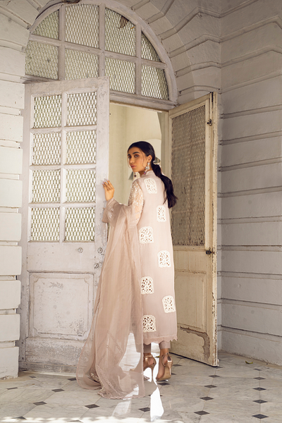 ALLISA Smokey Mauve Embroidered Organza Ensemble | Faiza Rehman