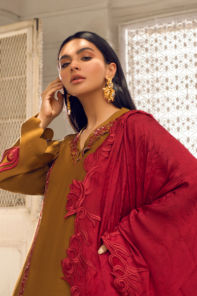 EBONY Brown Cotton Silk Ensemble | Faiza Rehman