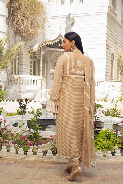 DARIA Beige Festive Number | Faiza Rehman