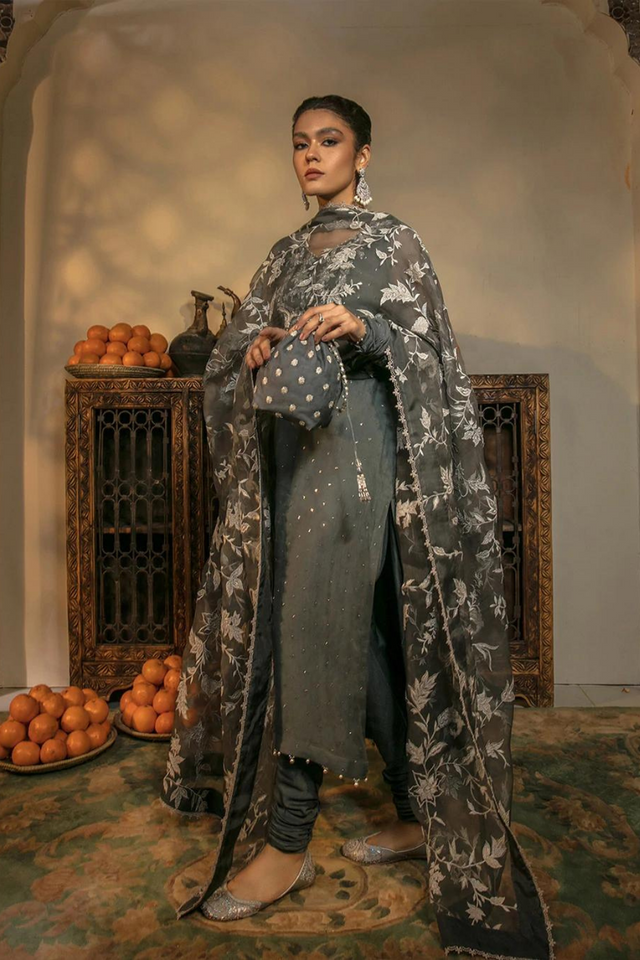 Enchanting SEYYAL Slate Grey Kameez and Churidar Set | Faiza Saqlain