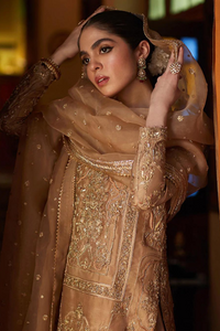 Stunning AWIRA Embellished Raw Silk Ensemble | Faiza Saqlain