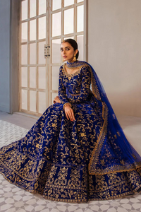 MIRA Navy Blue Lehnga Choli