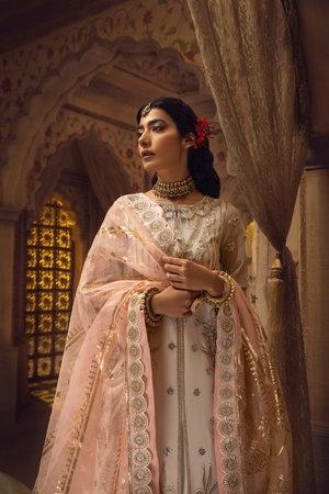 RAANI Unstitched Organza Collection by Haute Form AMBER