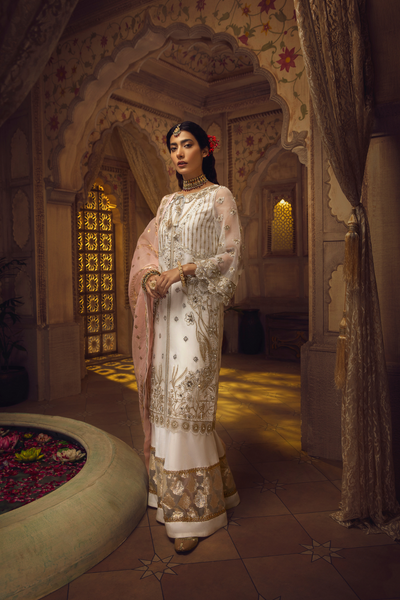 RAANI Unstitched Organza Collection by Haute Form AMBER