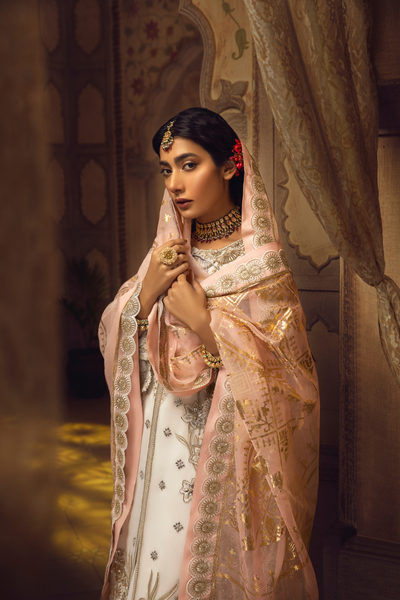 RAANI Unstitched Organza Collection by Haute Form AMBER