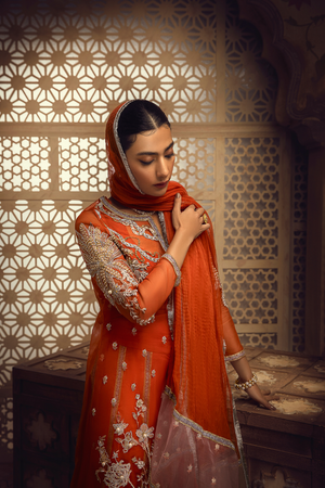 NOORJEHAN Unstitched Organza Collection by Haute Form AMBER 