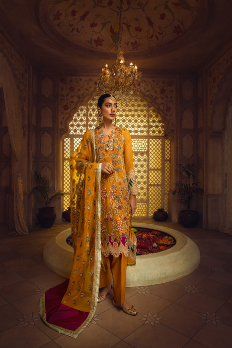 GOHAR ORGANZA SUIT by  Haute Form AMBER