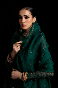 SUDARA Charming Green Organza Ensemble by Hussain Rehar Luxury Pret SS