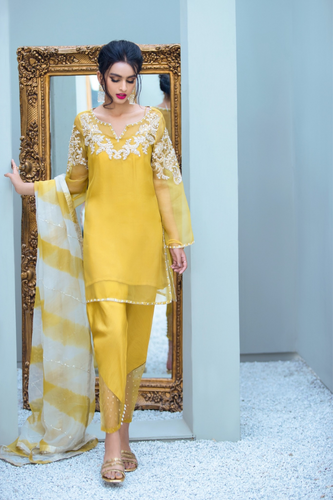 HAELYNN  Organza & Raw Silk Eid Ensemble by IMRA SAEED