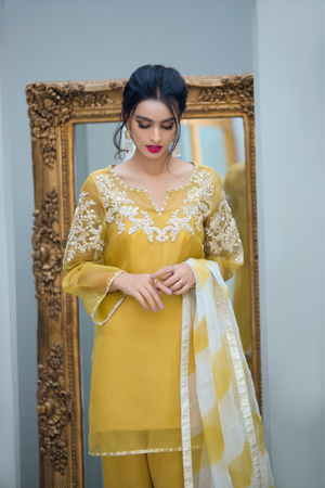 HAELYNN  Organza & Raw Silk Eid Ensemble by IMRA SAEED