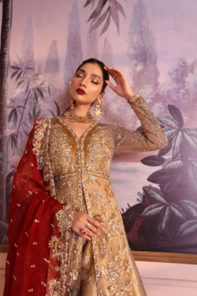 SIRIUS Rococo Inspired NET & TISSUE Ensemble by IMRA SAEED