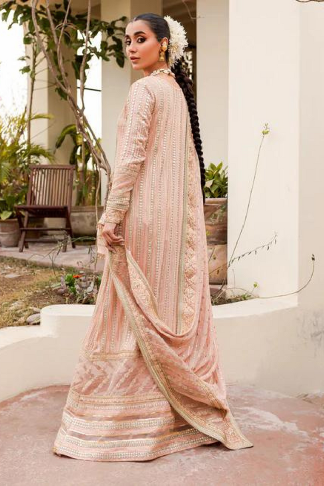 JANIRA Blush pink Delicate Chikankari Angrakha Gown Set – bilalgarments