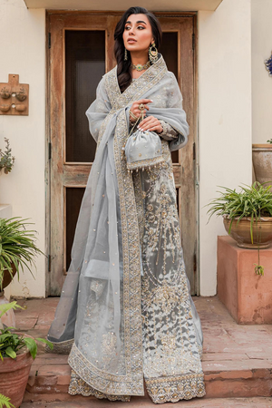 MEHAK Embellished Grey Tissue   Floral & Jewel Patterns Gown Set