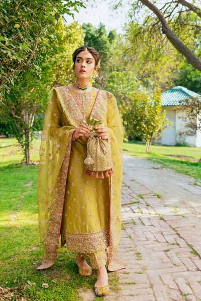 DIYA lime green Korean Silk Suit