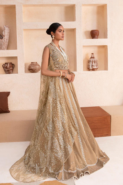 HEENA Lehnga & Choli Set by Mysie By Tahira Winter Festive'22