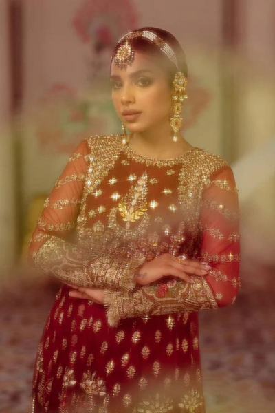 AYNA  red Embroidered Net & Organza outfit 