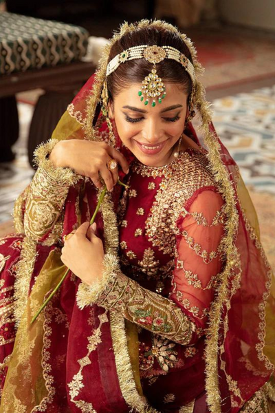 AYNA  red Embroidered Net & Organza outfit 