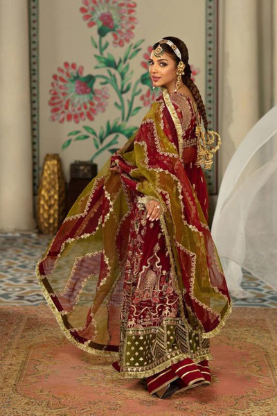 AYNA  red Embroidered Net & Organza outfit 