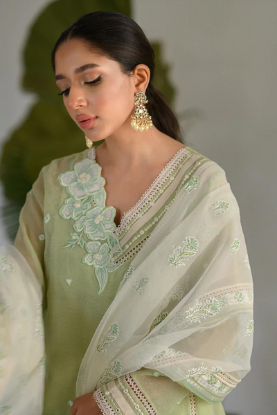 ICY MIST  by Nadia Farooqui Raisa Eid Edit'22. 