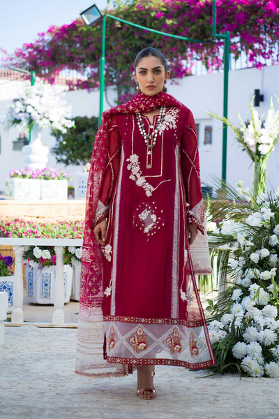 RUBY WOO Silk Organza Suit by Nadia Farooqui 'ZINNIA' Pret