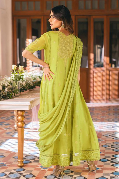 Mehray Green Cotton Net suit 