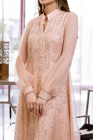  KASHISH Pink Organza Dress with Swarovski Embellishments