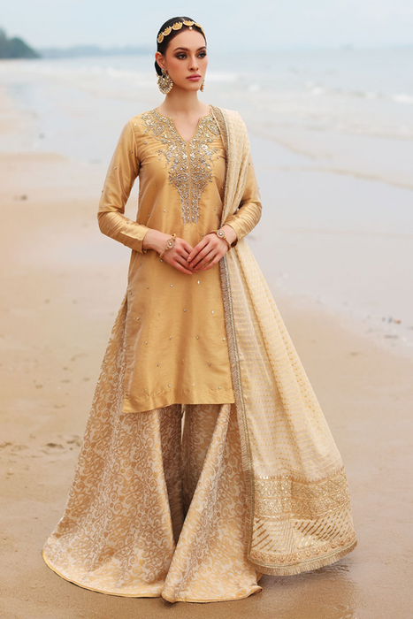 SAVARIYA Gold Tissue Zari Hand Embellished  Silhouette 