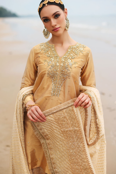 SAVARIYA Gold Tissue Zari Hand Embellished  Silhouette 